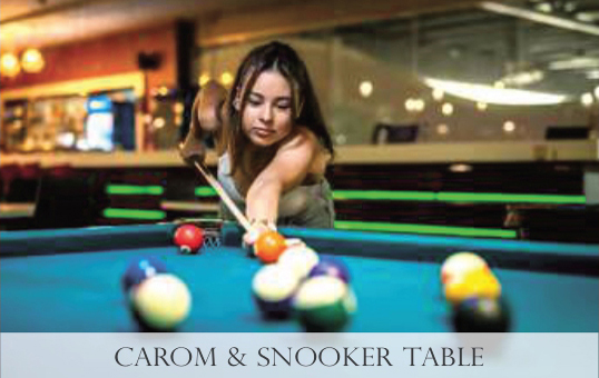 Carom & Snooker Table