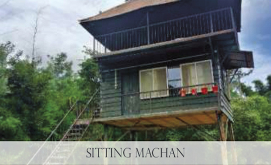 Sitting Machan