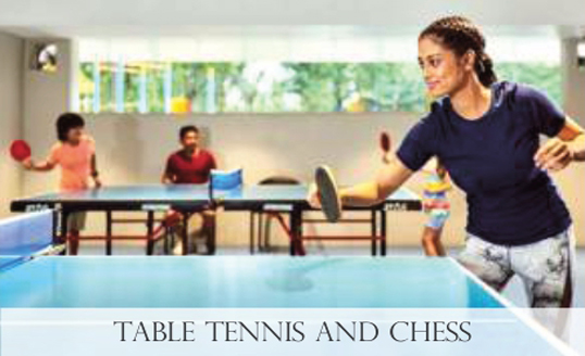 Table Tennis and Chess